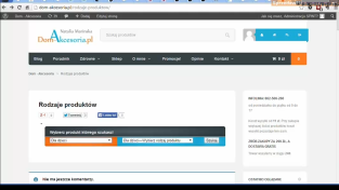 nawigator_z_automatycznym_wyswietlaniem_produktow